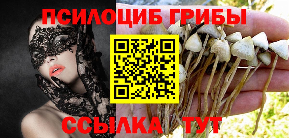 Псилоцибиновые грибы прущие грибы  Вход с VPN  Галлюциногенные грибы мицелий  Рославль 