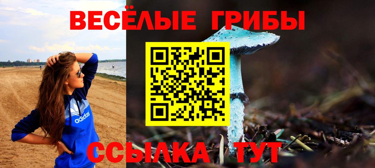Псилоцибиновые грибы Psilocybine cubensis Рославль